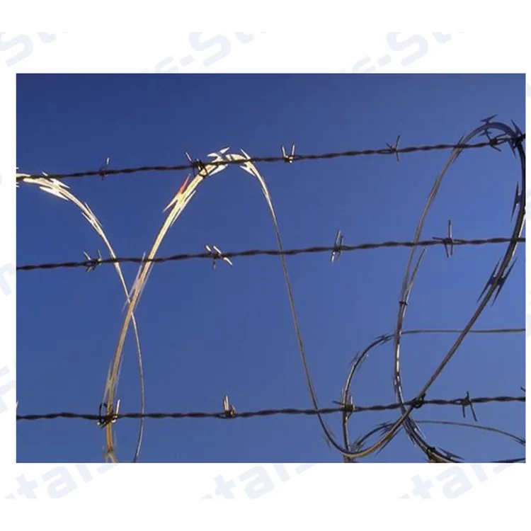 Razor Wire (Concertina) thumbnail 3