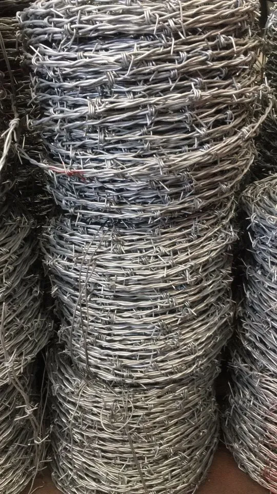 Barbed Wire thumbnail 3
