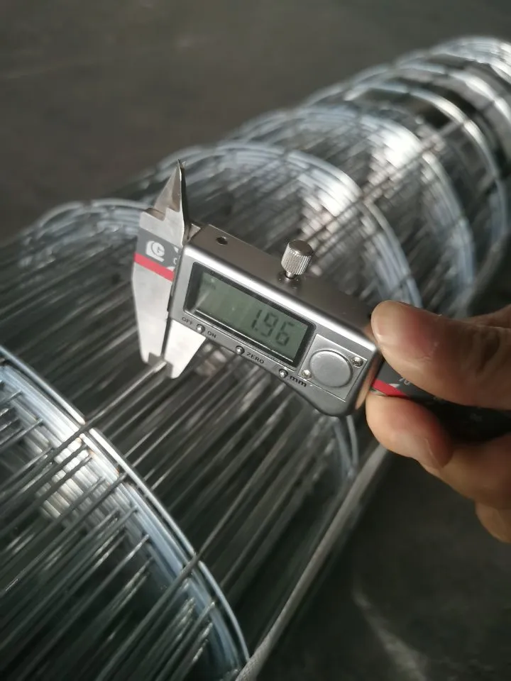 Welded Wire Mesh thumbnail 3